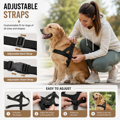 Dog Friendly Co. Harness Easy-Fit No-Pull Design for Safe, Secure, and Comfortable Walks