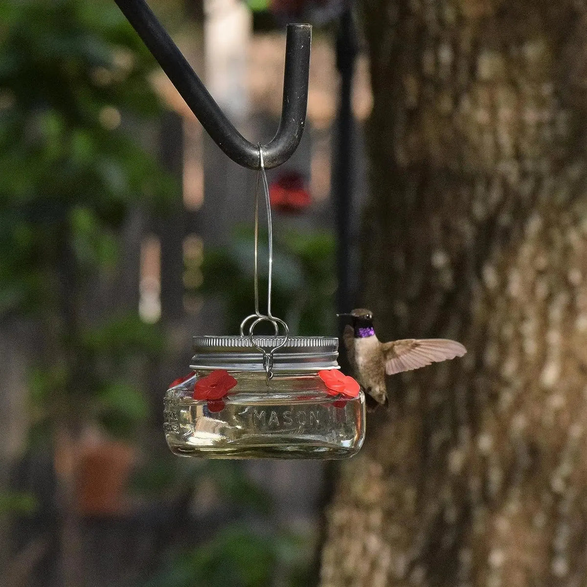🎉 Beautiful Plastic Jar Hummingbird Feeder W/ Four Ports
