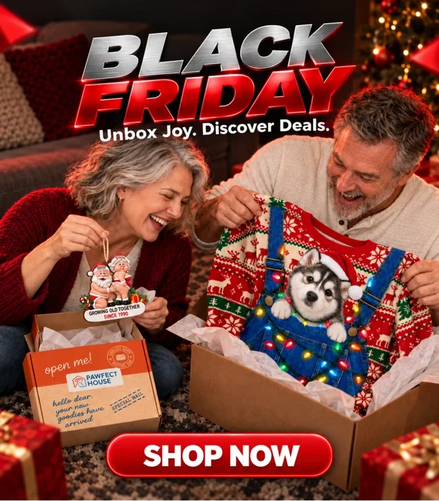 Black Friday promotion